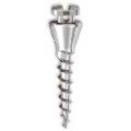 Spider Screw® Μικροεμφυτεύματα