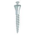 Spider Screw® - Spider Pin™ Μικροεμφυτεύματα