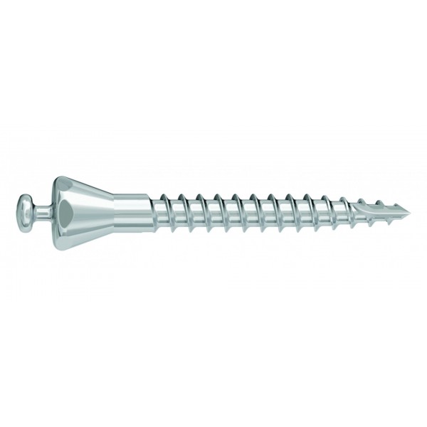 Spider Screw® - Spider Pin™ Μικροεμφυτεύματα